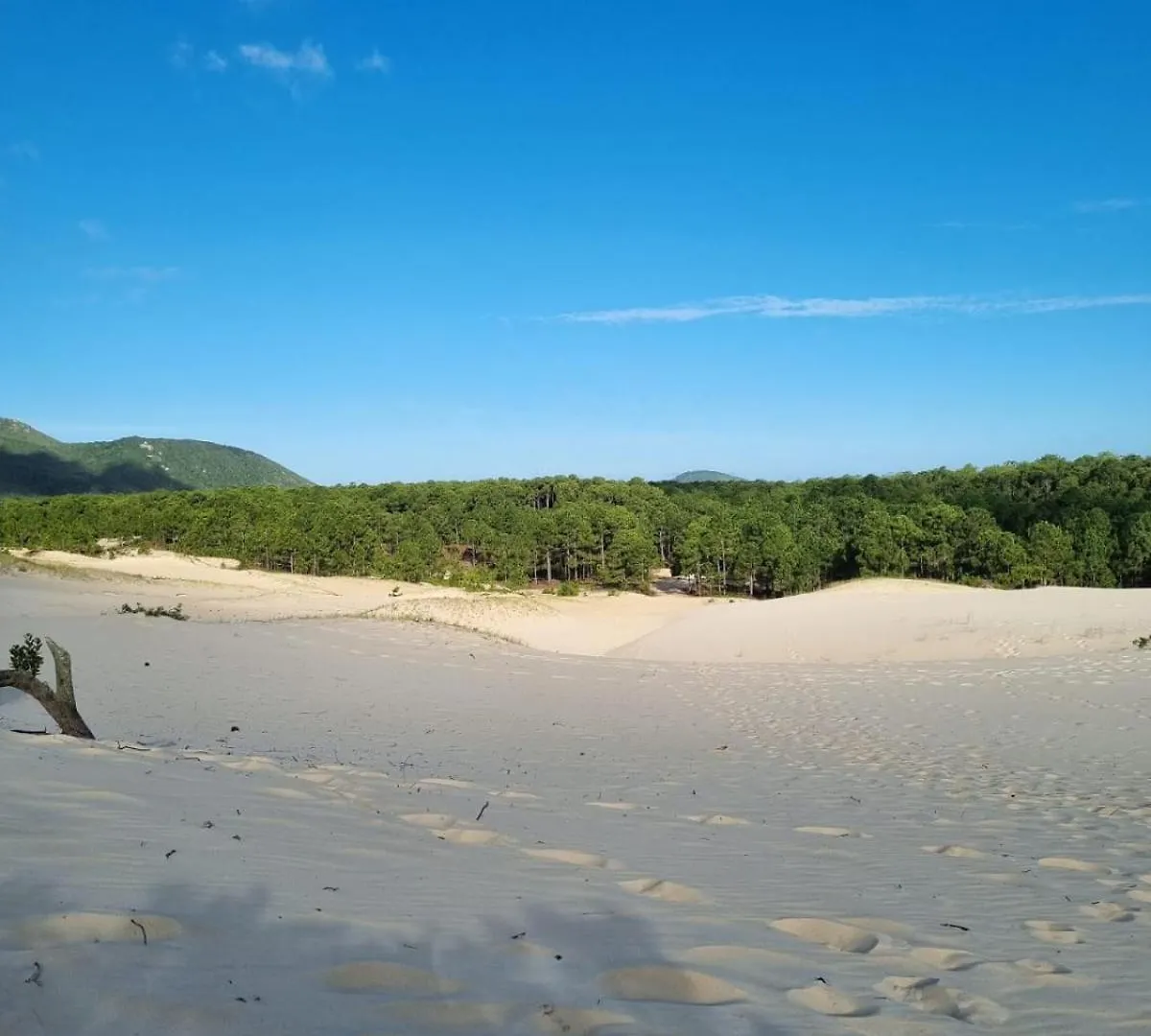 Chales Ilha Da Mata Pousada Florianópolis Brasil